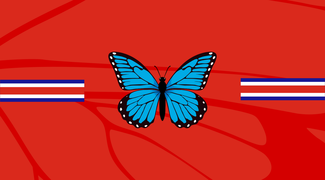 alt="Mariposa Collection by María Vega - Women's tenniswear made in Costa Rica"