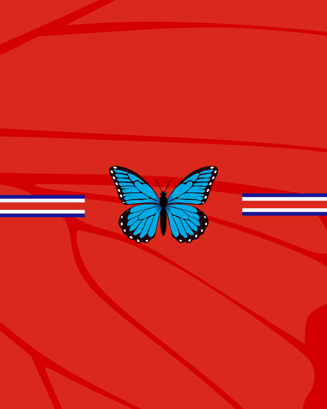 Camiseta Típica 2025 para Hombre (La Mariposa 🦋)