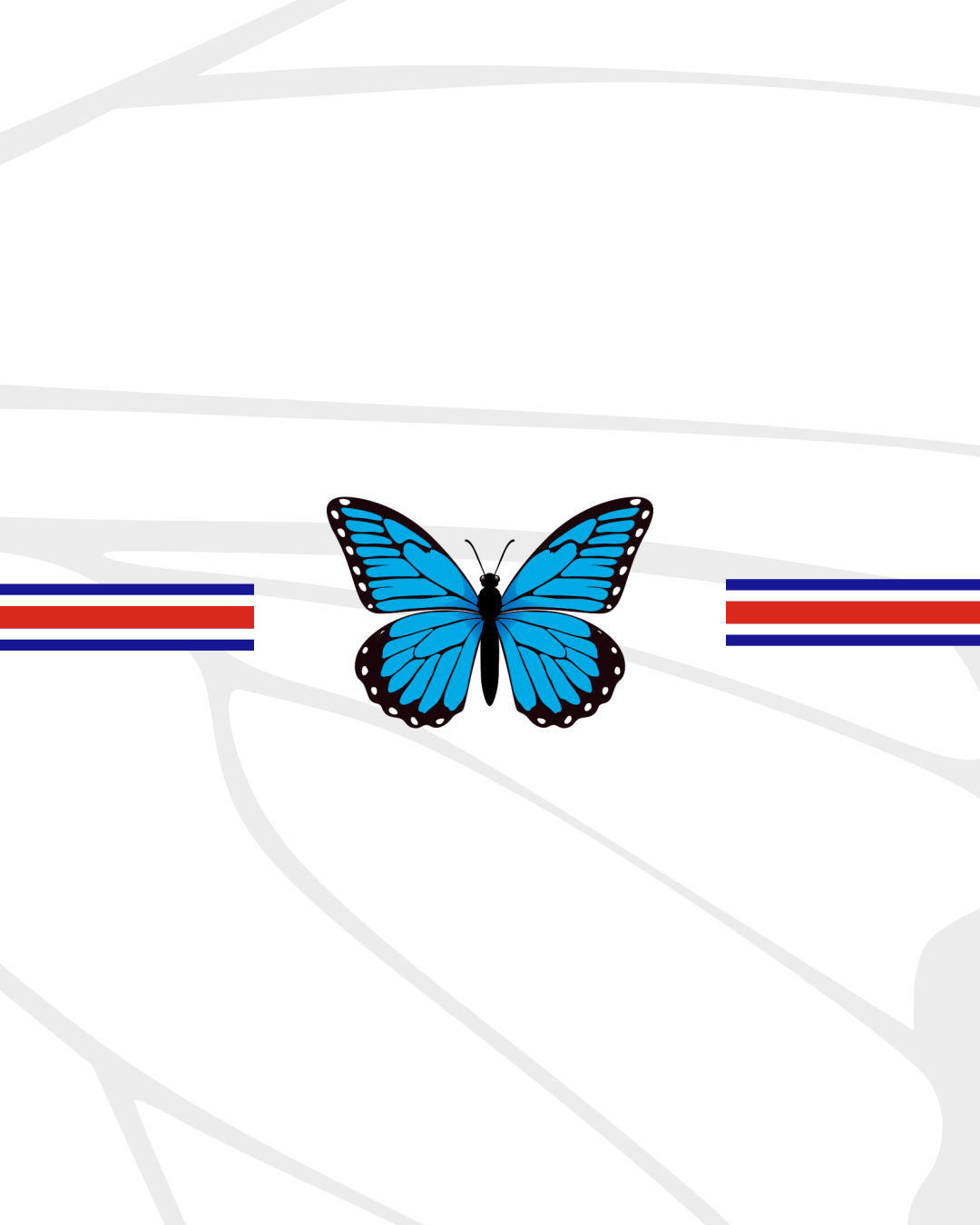 María Vega’s 2025 Shorts Típicos (The Butterfly Shorts)